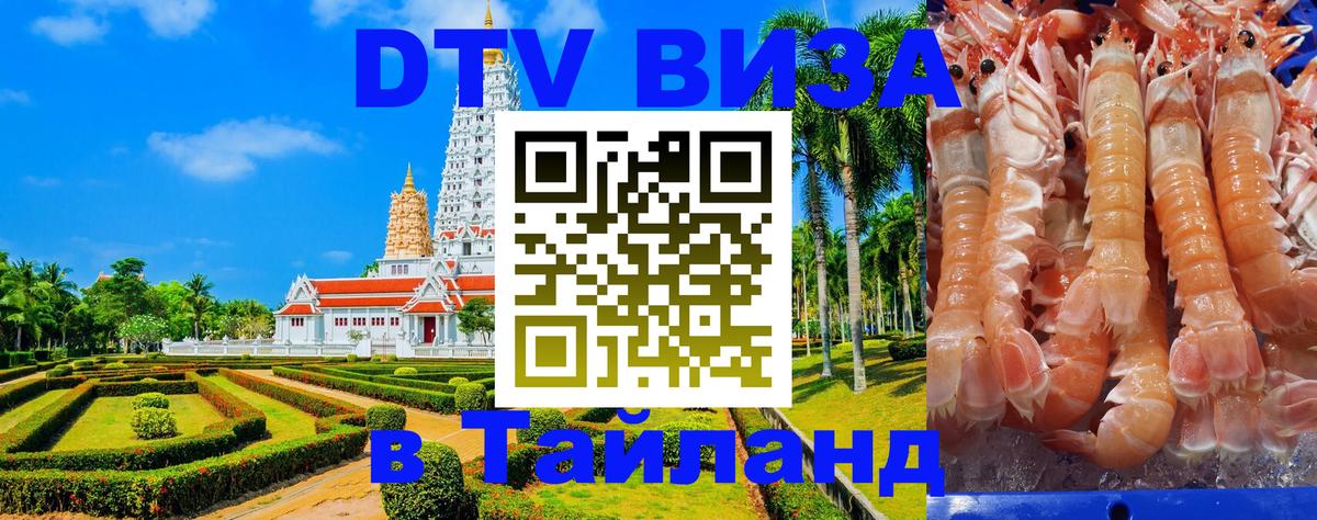 Сколько стоит DTV виза — актуальные цены, оформление даже без документов - Амстердам 